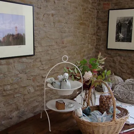 Casa Branzele Bed and breakfast 3*