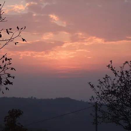 Bed and breakfast Casa Branzele 3*