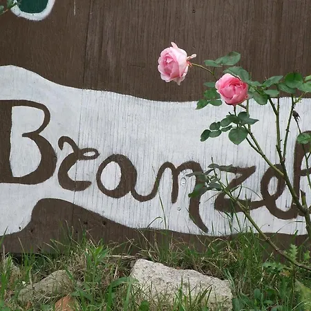 Bed and breakfast Casa Branzele 3*