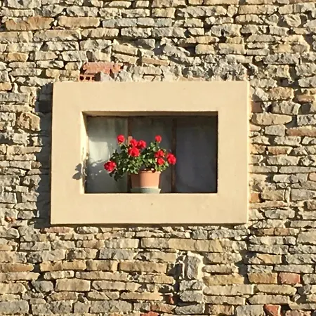 Bed & Breakfast Casa Branzele 3*