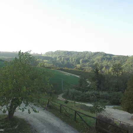 Casa Branzele Bed and breakfast