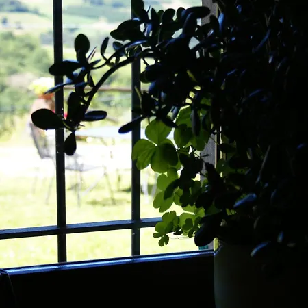 Casa Branzele Bed and breakfast Trezzo Tinella