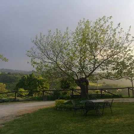 Casa Branzele 3*