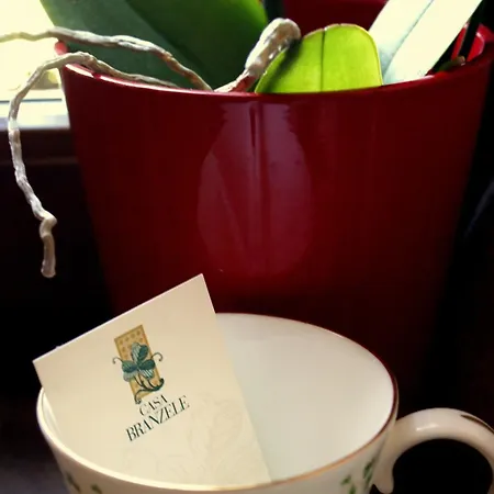 Casa Branzele Bed and breakfast