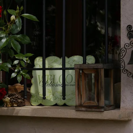 Casa Branzele Bed and breakfast 3*