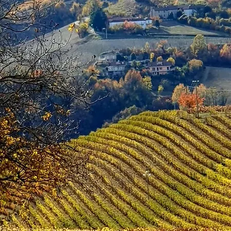 فندق مبيت وإفطار Casa Branzele 3*