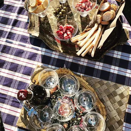 Bed and breakfast Casa Branzele