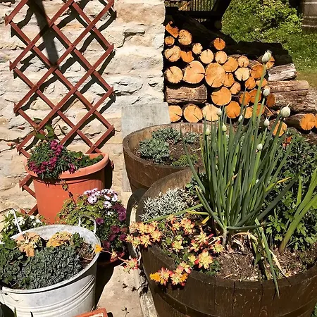 Casa Branzele Trezzo Tinella