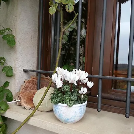 Casa Branzele