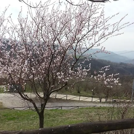 Casa Branzele