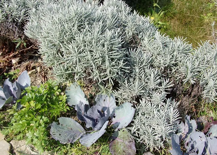 Casa Branzele 3* Trezzo Tinella