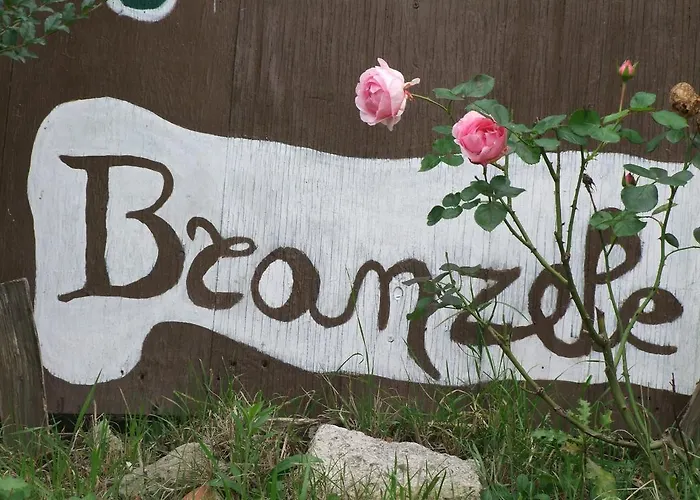 Frühstückspension Casa Branzele 3*