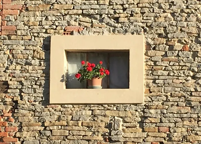 Frühstückspension Casa Branzele 3*