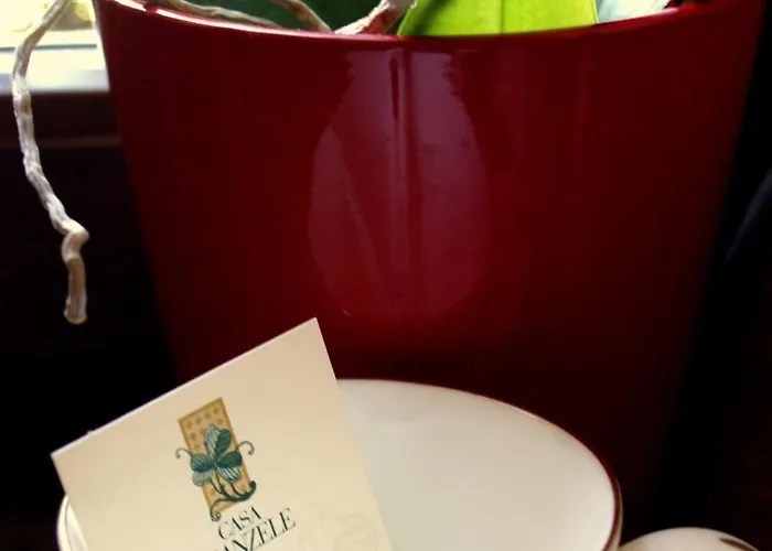 Casa Branzele Frühstückspension